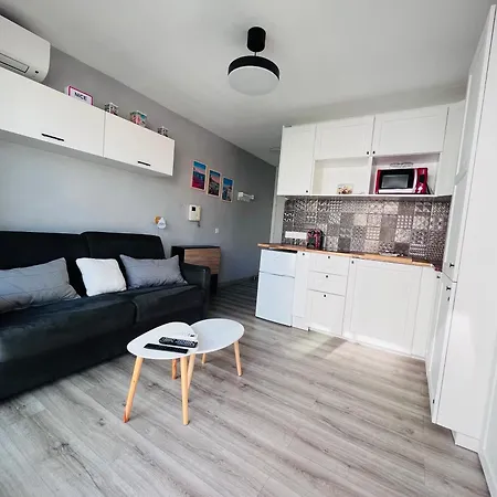 Daire Terrasse Et Parking Prive Nice